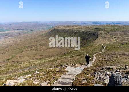 Ingleborough, Yorkshire Dales, au Royaume-Uni. Mercredi 3 mai 2017. Météo britannique. Ciel bleu fait pour certains des vues sur les vallées du Yorkshire pour les marcheurs s'attaquer à la montagne de Ingleborough aujourd'hui. © David Forster/Alamy Live News. Banque D'Images