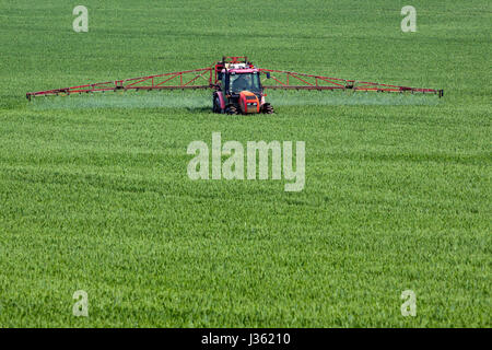 Le tracteur la pulvérisation de pesticides sur grand terrain vert grain avec les jeunes Banque D'Images