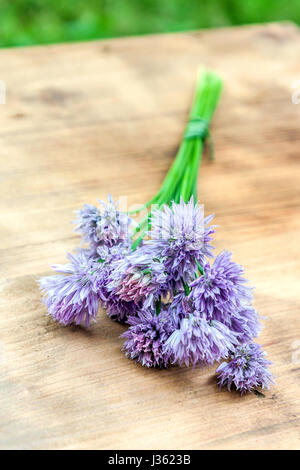 Ciboulette fleurs attachées dans un snop sur une planche à découper en bois naturel Banque D'Images