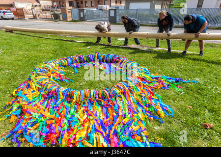 Hommes rituels européens préparation et construction de rubans Maypole coutumes traditionnelles dans les petites villes villages, Bohême, République tchèque, Europe Banque D'Images