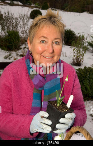 Val Bourne jardinier dans le jardin de sa maison de vacances dans la région des Cotswolds, Gloucestershire, Royaume-Uni Banque D'Images