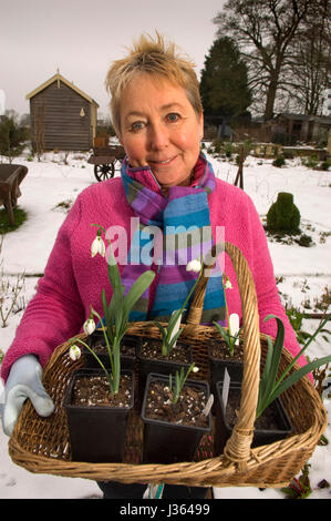 Val Bourne jardinier dans le jardin de sa maison de vacances dans la région des Cotswolds, Gloucestershire, Royaume-Uni Banque D'Images