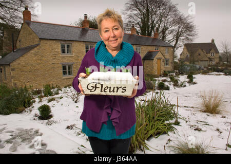 Val Bourne jardinier dans le jardin de sa maison de vacances dans la région des Cotswolds, Gloucestershire, Royaume-Uni Banque D'Images