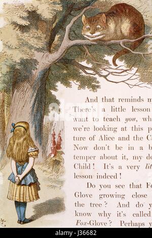 Illustration par Sir John Tenniel, aquarelle de Gertrude Thomson La Pépinière de Lewis Carroll, Alice, Londres, 1889 MacMilllan. Alice et le Cheshire Cat.. La Pépinière Alice était une version abrégée d'Alice au Pays des merveilles pour les enfants âgés entre 0 et 5 ans. Banque D'Images