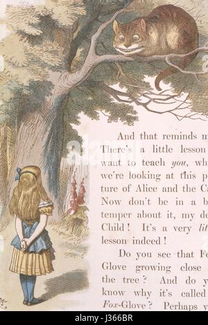 Illustration par Sir John Tenniel, aquarelle de Gertrude Thomson La Pépinière Alice (Alice au Pays des Merveilles), de Lewis Carroll, Londres, 1889 MacMilllan. Alice et le chat de Cheshire. La Pépinière Alice était une version abrégée d'Alice au Pays des merveilles pour les enfants âgés entre 0 et 5 ans. Banque D'Images