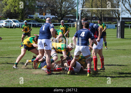 Match de rugby. Avril 2017. Henley Bulls vs.Richmond London Scottish Rugby Club, Twickenham, London, UK Banque D'Images