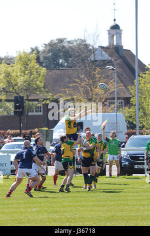 Match de rugby. Avril 2017. Henley Bulls vs.Richmond London Scottish Rugby Club, Twickenham, London, UK Banque D'Images