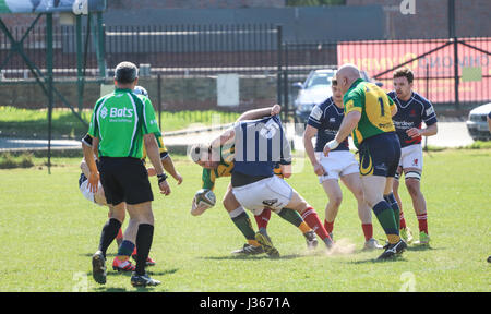 Match de rugby. Avril 2017. Henley Bulls vs.Richmond London Scottish Rugby Club, Twickenham, London, UK Banque D'Images