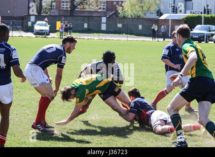 Match de rugby. Avril 2017. Henley Bulls vs.Richmond London Scottish Rugby Club, Twickenham, London, UK Banque D'Images