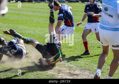 Match de rugby. Avril 2017. Henley Bulls vs.Richmond London Scottish Rugby Club, Twickenham, London, UK Banque D'Images