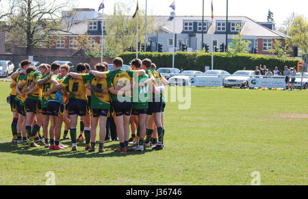 Match de rugby. Avril 2017. Henley Bulls vs.Richmond London Scottish Rugby Club, Twickenham, London, UK Banque D'Images