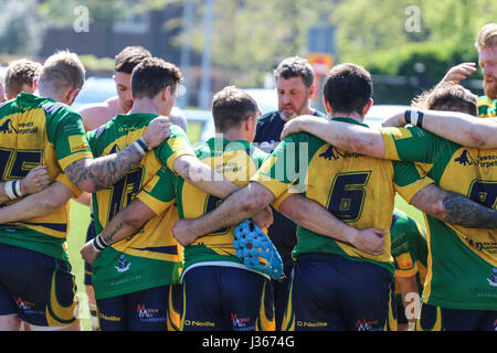 Match de rugby. Avril 2017. Henley Bulls vs.Richmond London Scottish Rugby Club, Twickenham, London, UK Banque D'Images