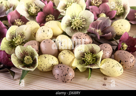 Vacances de Pâques dans la composition des couleurs pastel. Les oeufs de Pâques avec des fleurs de printemps libre Banque D'Images