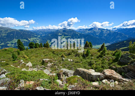 Paysage de montagne incroyable avec pré vert et de pierres au premier plan. Autriche, Tyrol, Zillertal, la Haute Route alpine du Zillertal Banque D'Images