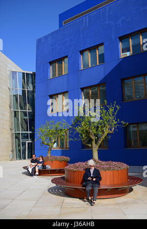 Le Musée Guggenheim de Bilbao est un musée d'art moderne et contemporain, conçu par l'architecte Frank Gehry, canado-américaines et situé à Bilbao, B Banque D'Images