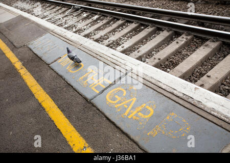 Un pigeon à marcher le long de la garde à l'écart entre la gare de Tunbridge Wells, Kent, UK. Credit : Moulin Images/ Alamy Banque D'Images