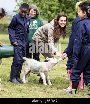 La duchesse de Cambridge rss Stinky l'agneau dans un champ avec les enfants des écoles au cours d'une visite à la ferme pour les enfants de la ville de Gloucester, charité, où elle a vu son travail de donner aux jeunes de quartiers défavorisés la chance de passer une semaine dans une ferme. Banque D'Images