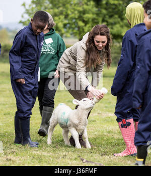 La duchesse de Cambridge rss Stinky l'agneau dans un champ avec les enfants des écoles au cours d'une visite à la ferme pour les enfants de la ville de Gloucester, charité, où elle a vu son travail de donner aux jeunes de quartiers défavorisés la chance de passer une semaine dans une ferme. Banque D'Images