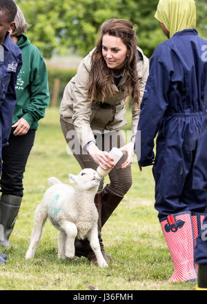 La duchesse de Cambridge rss Stinky l'agneau dans un champ avec les enfants des écoles au cours d'une visite à la ferme pour les enfants de la ville de Gloucester, charité, où elle a vu son travail de donner aux jeunes de quartiers défavorisés la chance de passer une semaine dans une ferme. Banque D'Images