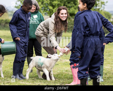 La duchesse de Cambridge rss Stinky l'agneau dans un champ avec les enfants des écoles au cours d'une visite à la ferme pour les enfants de la ville de Gloucester, charité, où elle a vu son travail de donner aux jeunes de quartiers défavorisés la chance de passer une semaine dans une ferme. Banque D'Images