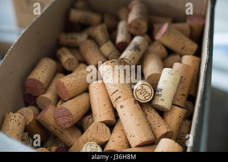 Bouchons d'un vignoble de chateauneuf du pape en France Banque D'Images