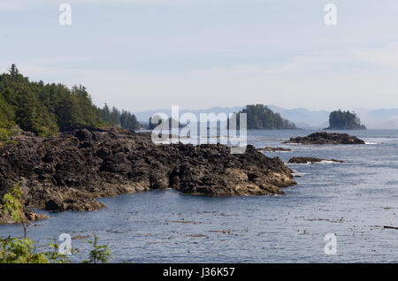 Côte d'Ucluelet, Vancover Island (Colmbia Canada Banque D'Images