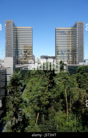 Stadtentwicklungsgebiet, Paris Rive Gauche, Bibliothèque nationale de France - Paris, le projet de développement de la ville Rive Gauche, Bibliothèque nationale de Banque D'Images