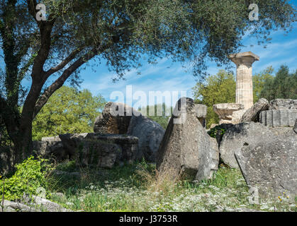 Re une colonne dorique construit sur des tours tombé chapiteaux et fûts de colonne dans le Temple de Zeus à Olympie, Péloponnèse, Grèce. Banque D'Images