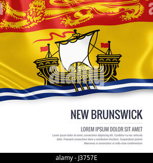 L'état canadien de brandir le drapeau du Nouveau-Brunswick sur un fond blanc. Nom de l'état et la zone de texte pour votre message. Banque D'Images