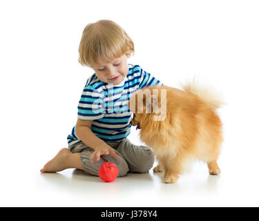 Little boy playing with dog spitz, isolé sur fond blanc Banque D'Images
