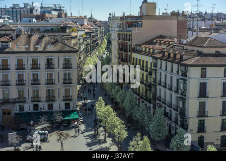 La floraison des cerisiers de la Plaza de Isabel II le long de la rue Calle del Arenal (Arenal) jusqu'à la Puerta del Sol et la tour de l'horloge, Madrid Espagne Banque D'Images