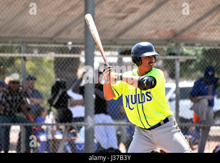 Les Mulos et les Cubs, avec les équipes de base-ball de ligue mexicaine, jouer un match de championnat à Mission Manor Park, Tucson, Arizona, USA. Banque D'Images