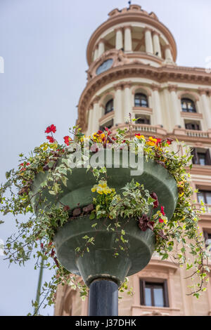 Décoration fleurs Plaza de Callao Square et trouble Vitalicio Construire tour à l'arrière-plan. Madrid, Espagne Banque D'Images