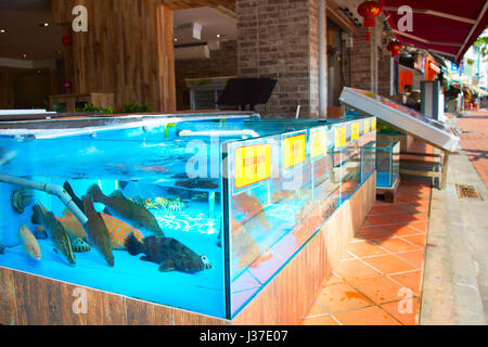 Beaucoup de poissons dans l'aquarium du restaurant de fruits de mer à Singapour Banque D'Images