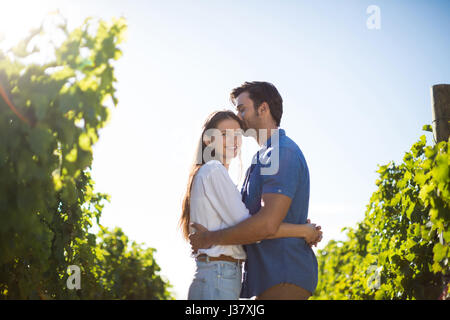 Smiling woman hugging boyfriend au milieu des plants au vignoble au cours de journée ensoleillée Banque D'Images