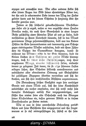 De Liebesgeschichten de Klabund est une œuvre littéraire axée sur les histoires d'amour, explorant les thèmes de la passion et de l'émotion. Il peut s'agir d'une collection ou d'un récit écrit par l'auteur allemand Klabund. Banque D'Images