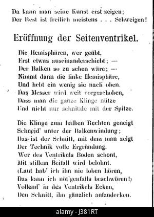 'Der prosector in der Westentasche' est un livre éducatif allemand sur l'anatomie et la dissection, offrant un guide détaillé pour les étudiants en médecine. Cette page se concentre sur les descriptions anatomiques et les illustrations. Banque D'Images