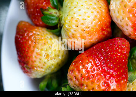 Fresh fruit vert fraises rouges immatures appétissant de fruits avec des queues d'un vert vif disposés sur la plaque comme vitamine fruits dessert pour les amateurs de bonne santé Banque D'Images