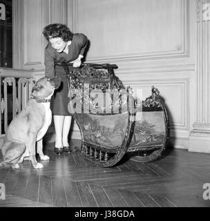 L'actrice française Micheline Presle à la maison. c.1953 Photo Georges Rétif de la Breton Banque D'Images