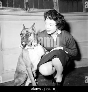 L'actrice française Micheline Presle à la maison. c.1953 Photo Georges Rétif de la Breton Banque D'Images