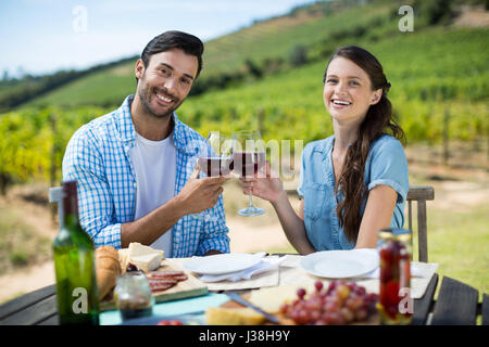 Portrait of smiling couple toasting verres à vin tout en étant assis à table avec vignoble en arrière-plan Banque D'Images