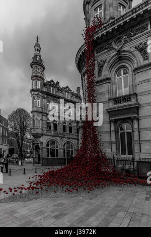 Poppies découlant de la fenêtre en pleurant, square Victoria Hull Banque D'Images