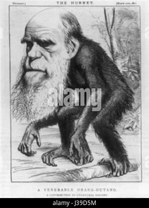 Le *Darwin Karikatur 2* fait référence à une caricature ou interprétation artistique de Charles Darwin, probablement à partir du XIXe siècle, reflétant l’opinion publique ou des représentations artistiques de ses théories et de sa vie. Banque D'Images