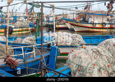 Houmt Souk, Marina, Tunisie, bateaux de pêche, l'île de Djerba, et un chat Banque D'Images