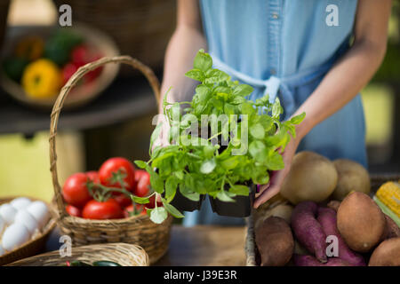 Mid section of woman holding leaf au marché fermier de légumes Banque D'Images