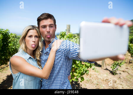 Couple par selfies téléphone mobile au vignoble contre ciel bleu clair Banque D'Images