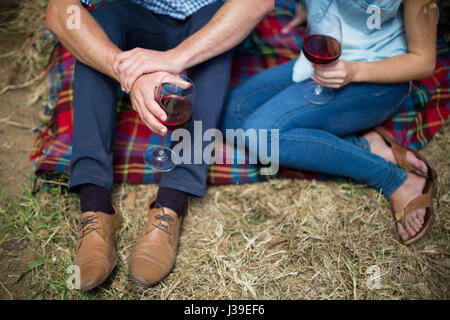 La section basse du couple holding wineglasses while sitting on picnic blanket au vignoble Banque D'Images