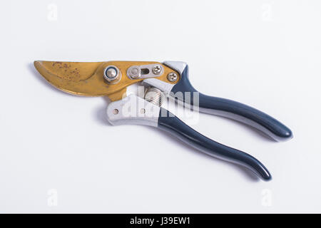 Utiliser un sécateur rouillé sur fond blanc Banque D'Images