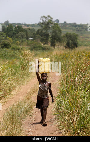 Enfant ougandais à aller chercher de l'eau. Banque D'Images
