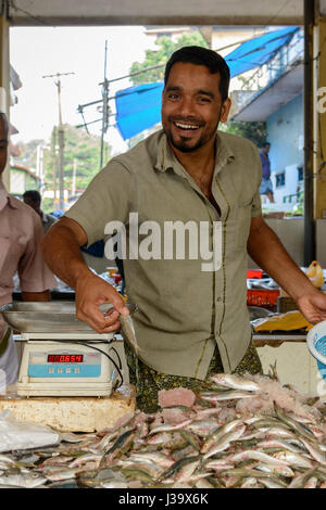 Marché aux poissons tous les jours à Thalassery (district de Tellicherry), Kannur (Cannanore), Kerala, Inde du Sud, en Asie du Sud Banque D'Images